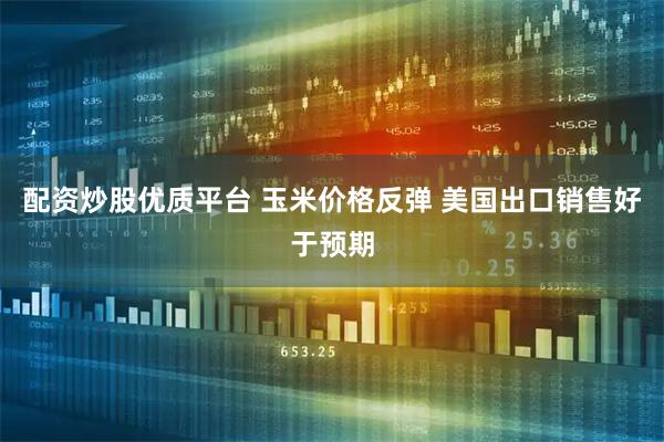 配资炒股优质平台 玉米价格反弹 美国出口销售好于预期