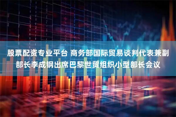 股票配资专业平台 商务部国际贸易谈判代表兼副部长李成钢出席巴黎世贸组织小型部长会议